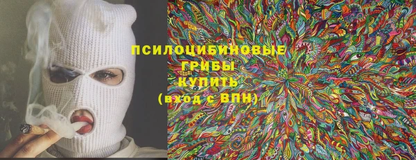 спиды Алексин