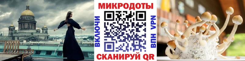 блэк спрут рабочий сайт  Чухлома  Галлюциногенные грибы MAGIC MUSHROOMS 